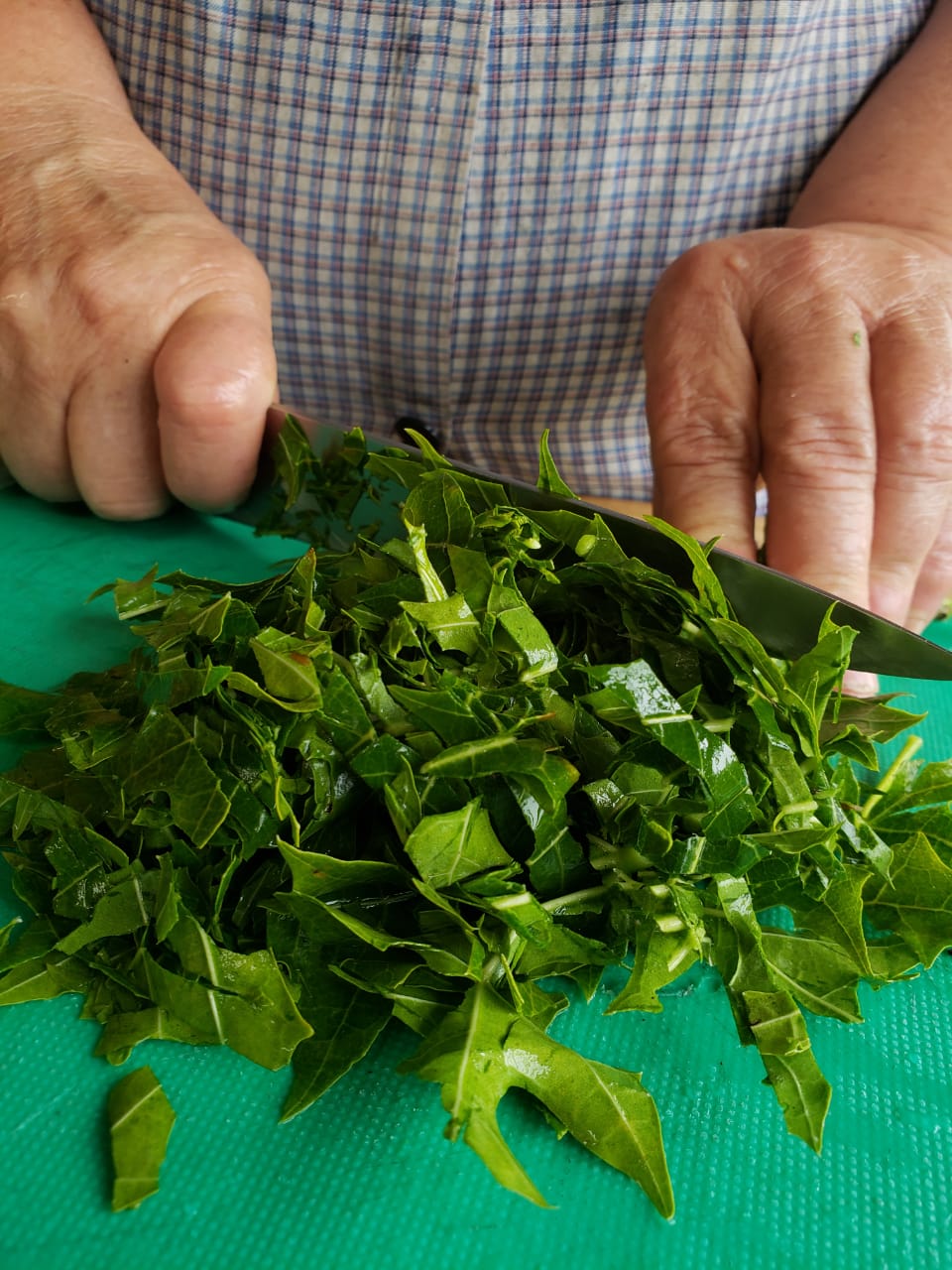 Picadillo de Chicasquil | Sistema de Información Cultural de Costa Rica