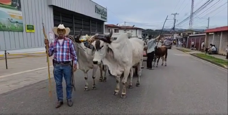Desfile de Boyeros de PZ