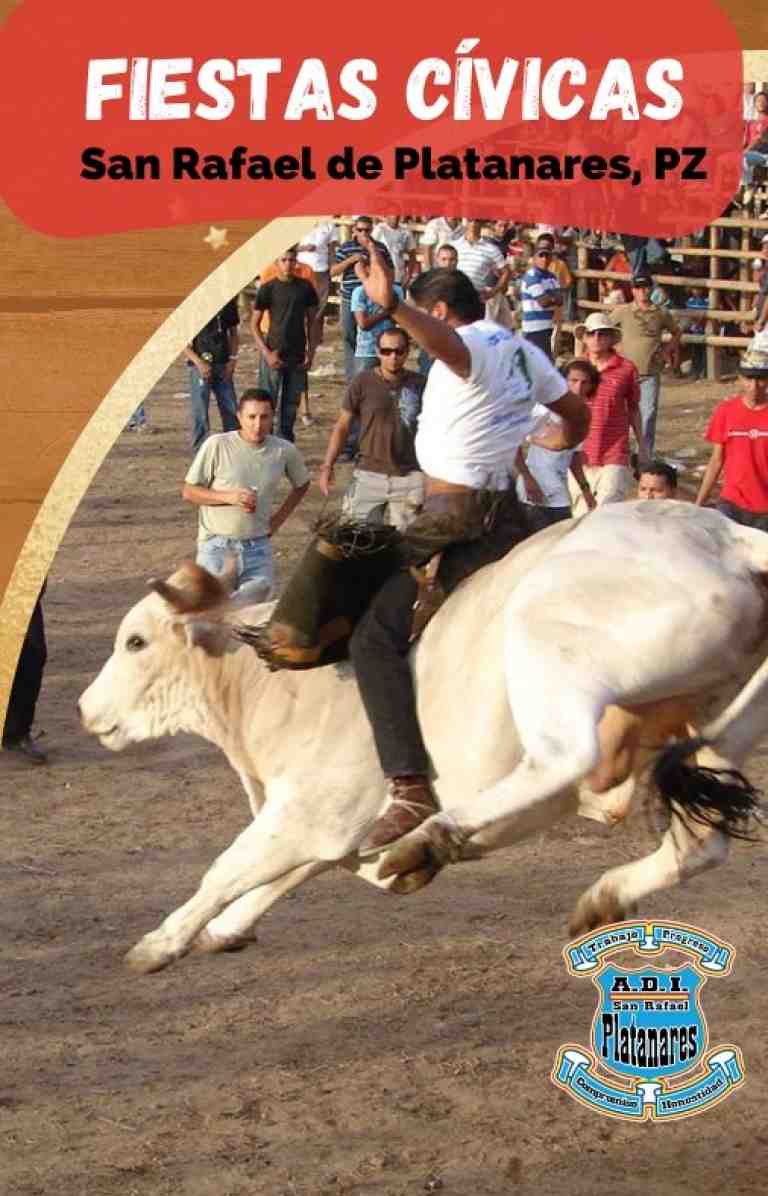 imagen promocional de toros en el redondel