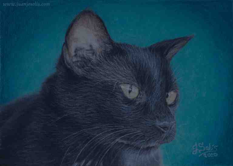 pintura de un gato negro