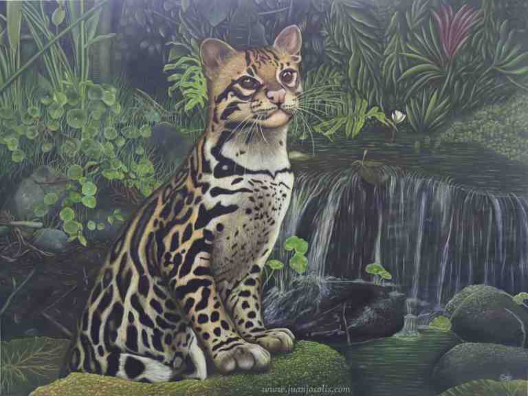 pintura de un manigordo