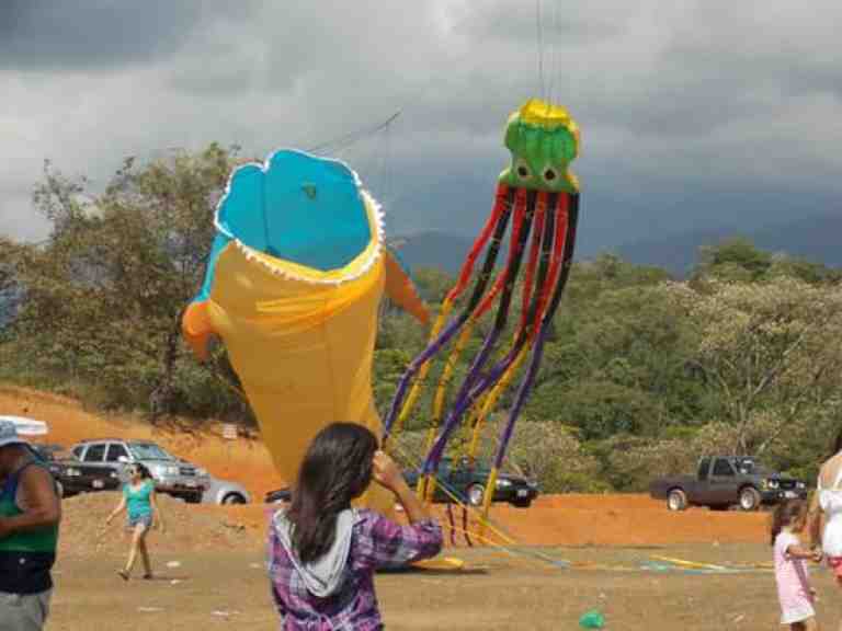 Festival de papalotes