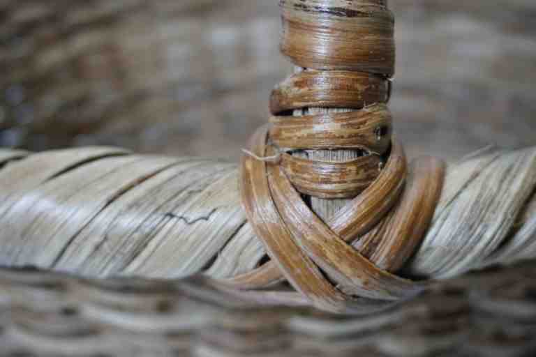 cesta 1