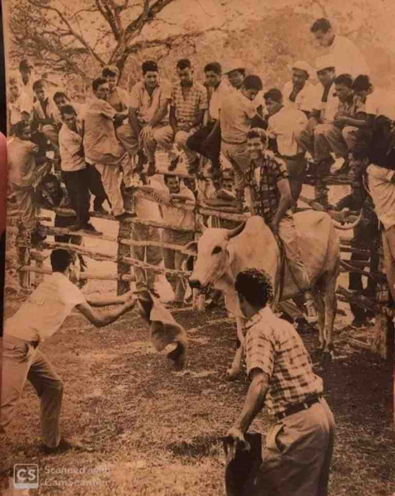 Monta de toros, Foto aportada por el Grupo Amigos Cruceños