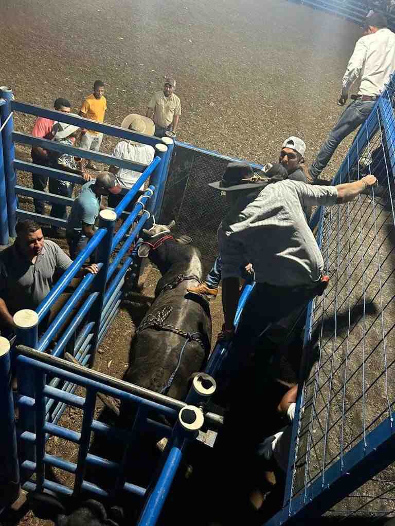 Monta de toros, Grupo Amigos Cruceños