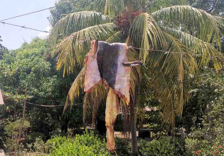 Ahumado carne