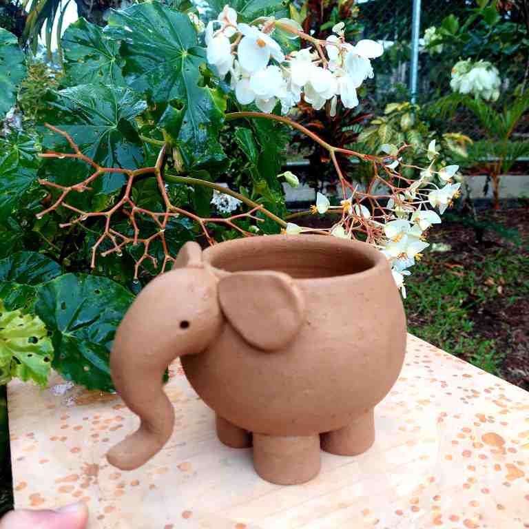 Elefante