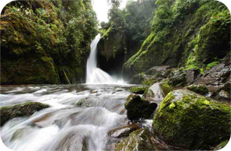 Armonía Ambiental Waterfall